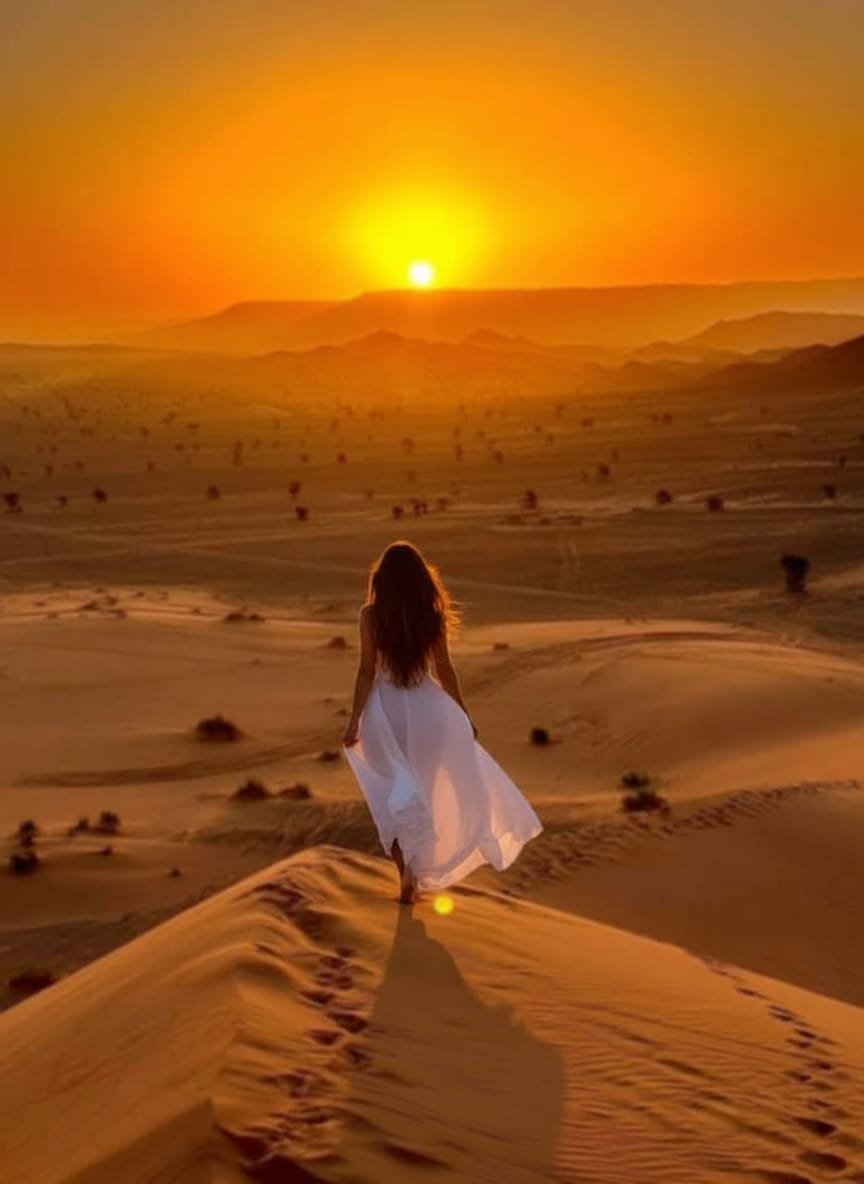 Galop Sauvage au Coucher de Soleil